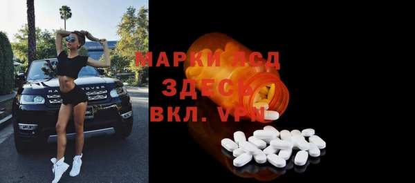 стаф Белокуриха