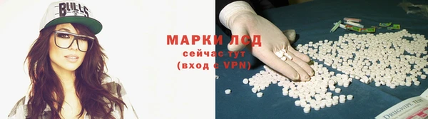 гидра Белоозёрский