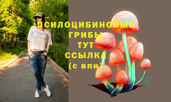 стаф Белокуриха