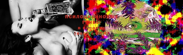 стаф Белокуриха